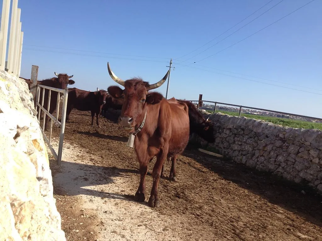 Country house Casa Vacanze Agriturismo Cilone Guest House Ragusa